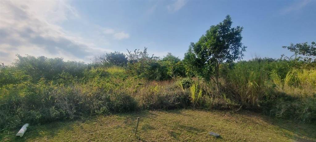 557 m² Land available in Sea Park photo number 3
