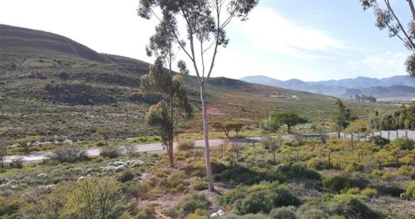 1280 m² Land available in Montagu photo number 4