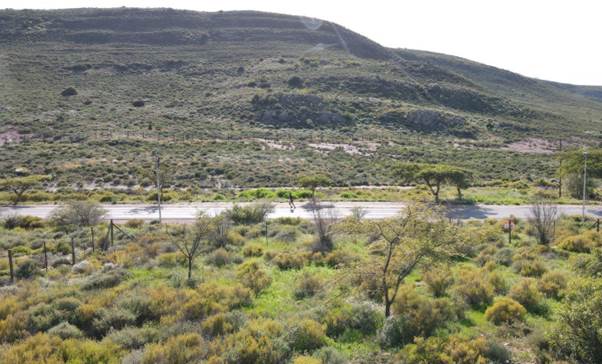 1280 m² Land available in Montagu photo number 3