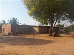 8.5 ha Farm in Grootvlei AH