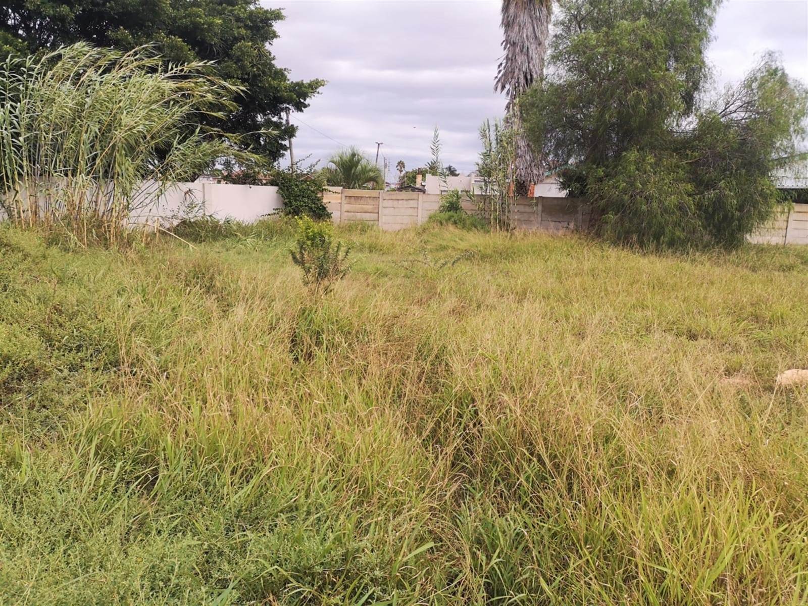 991 m² Land available in Manor Heights photo number 4