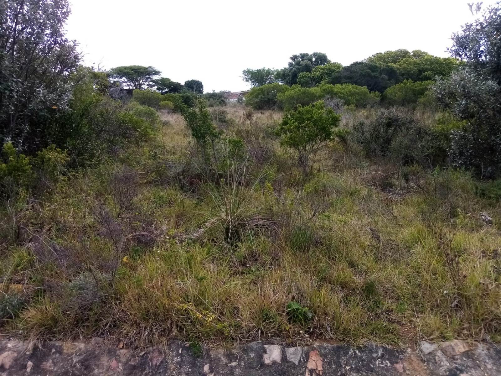 1043 m² Land available in Riversbend photo number 3