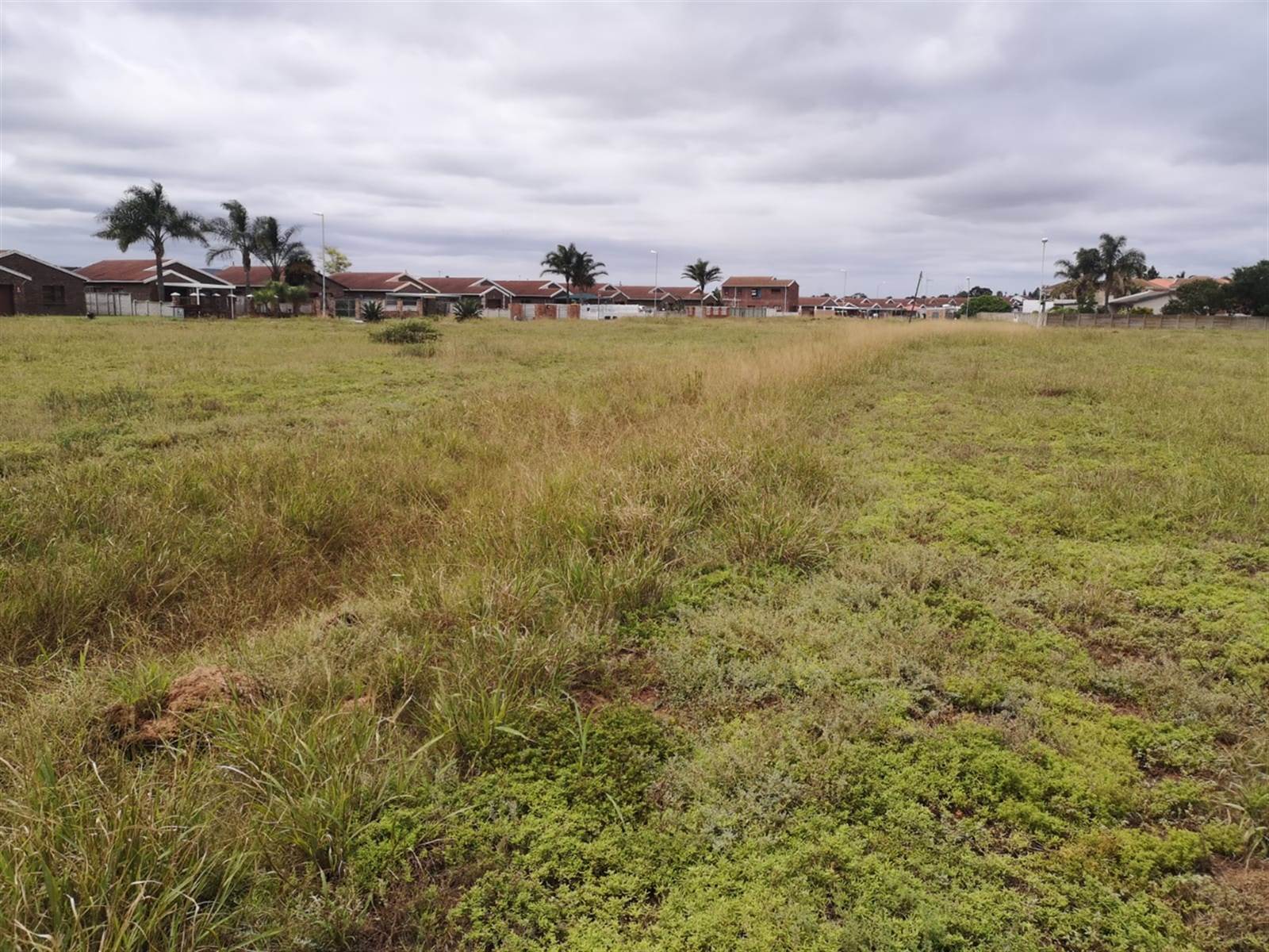 827 m² Land available in Manor Heights photo number 10