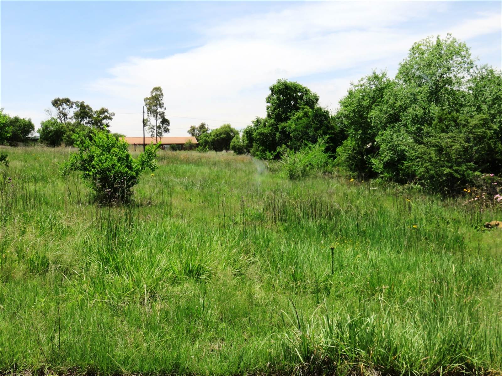 1983 m² Land available in Oranjeville photo number 8