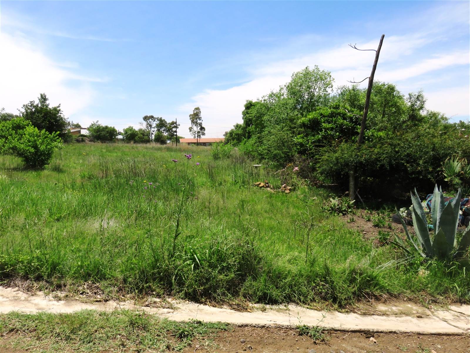 1983 m² Land available in Oranjeville photo number 1