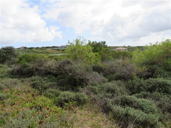 805 m² Land available in Forest Downs