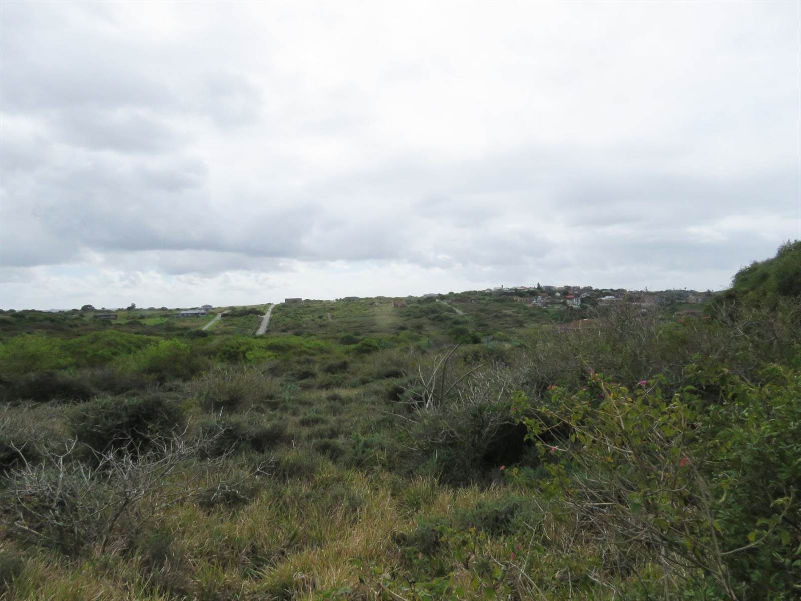 805 m² Land available in Forest Downs photo number 8