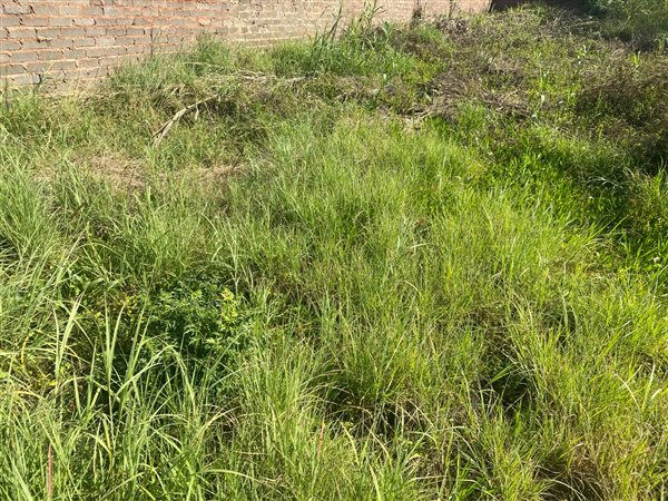 1 447 m² Land 1 447 m² Land