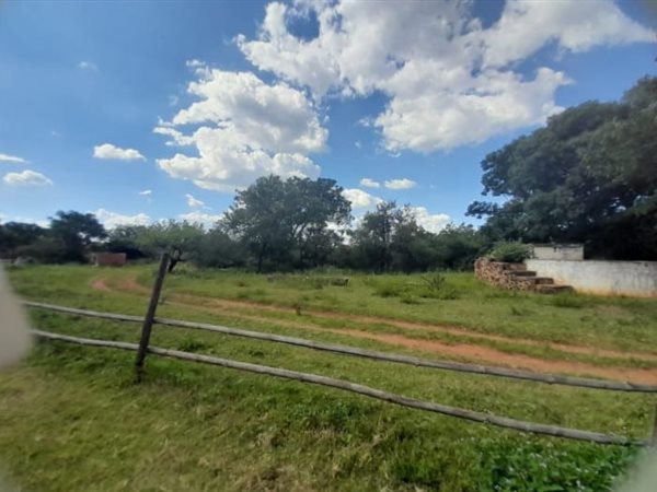 10.1 ha Smallholding