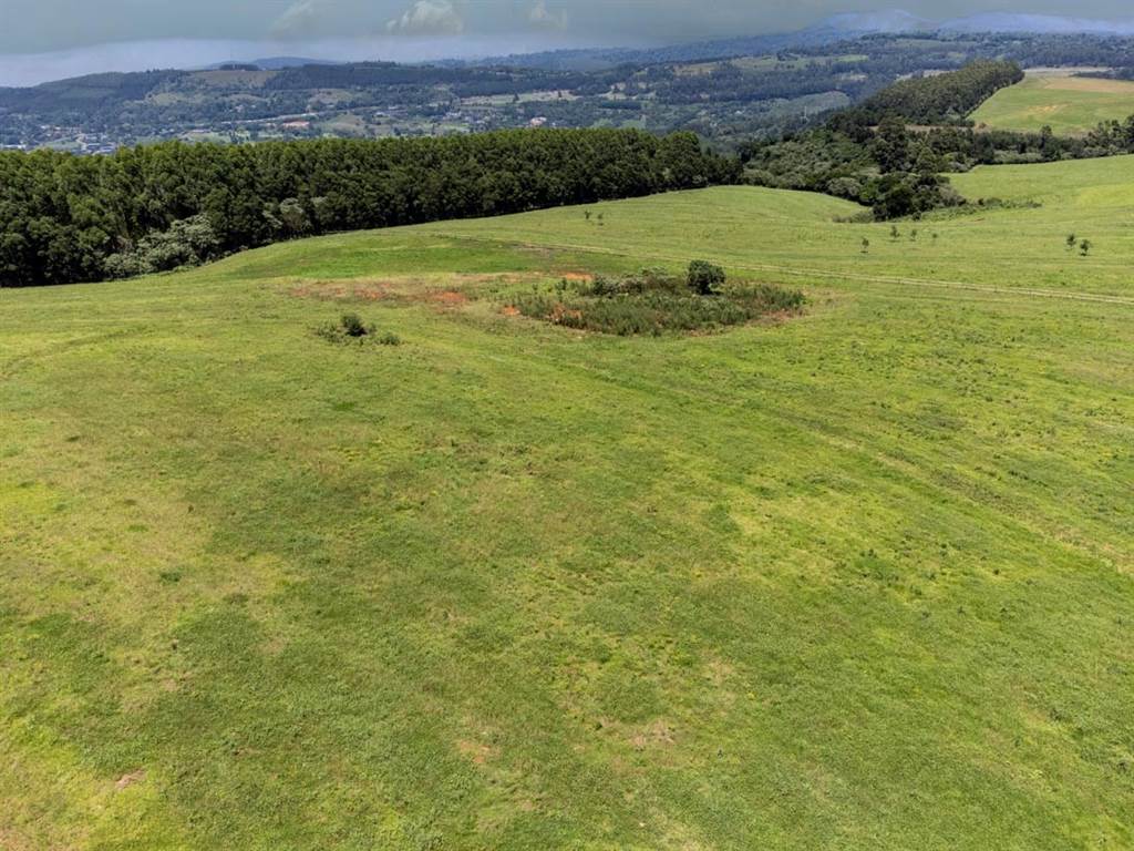 3.5 ha Land available in Hilton photo number 3