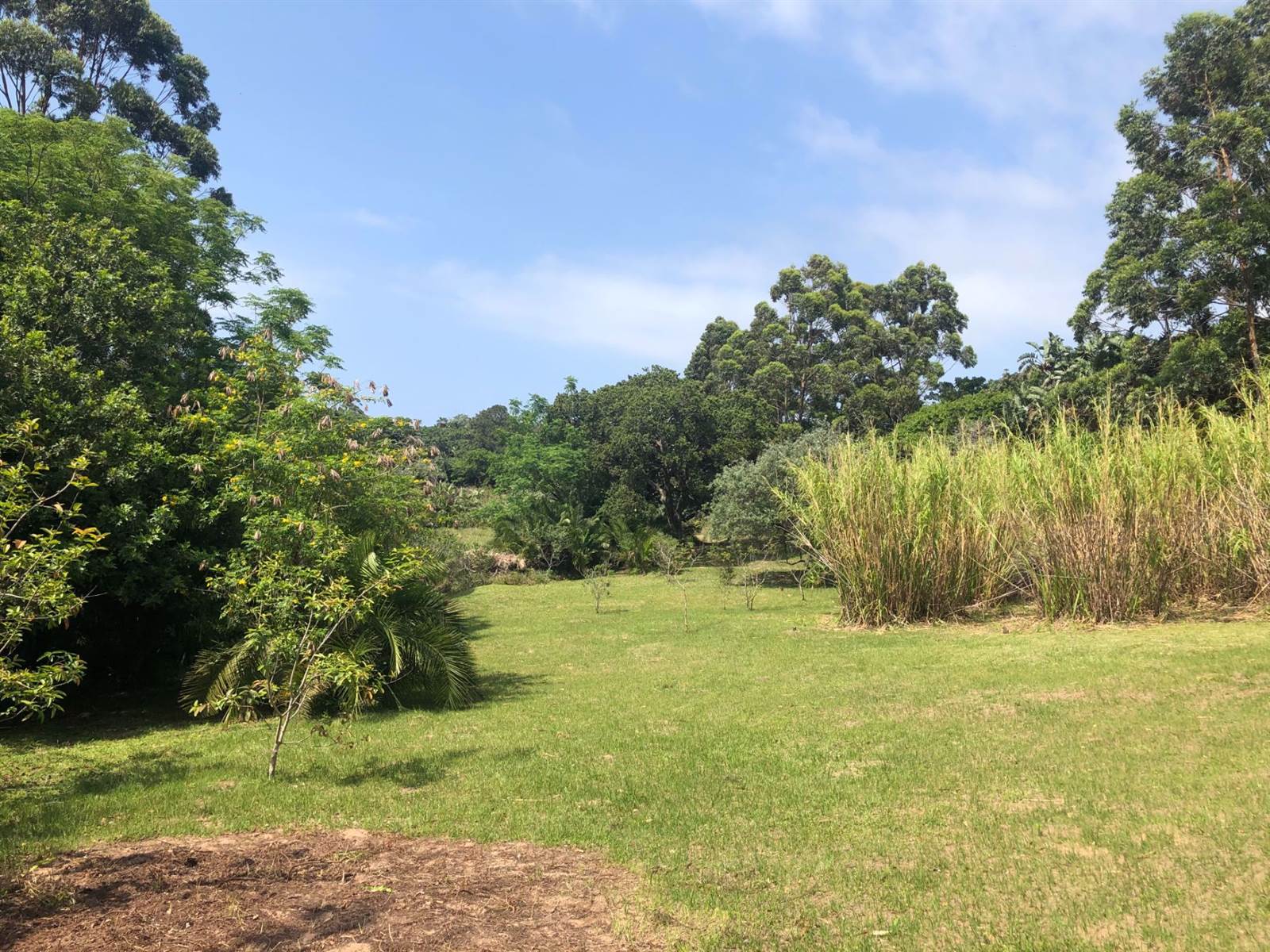 1.7 ha Land available in Leisure Bay photo number 9
