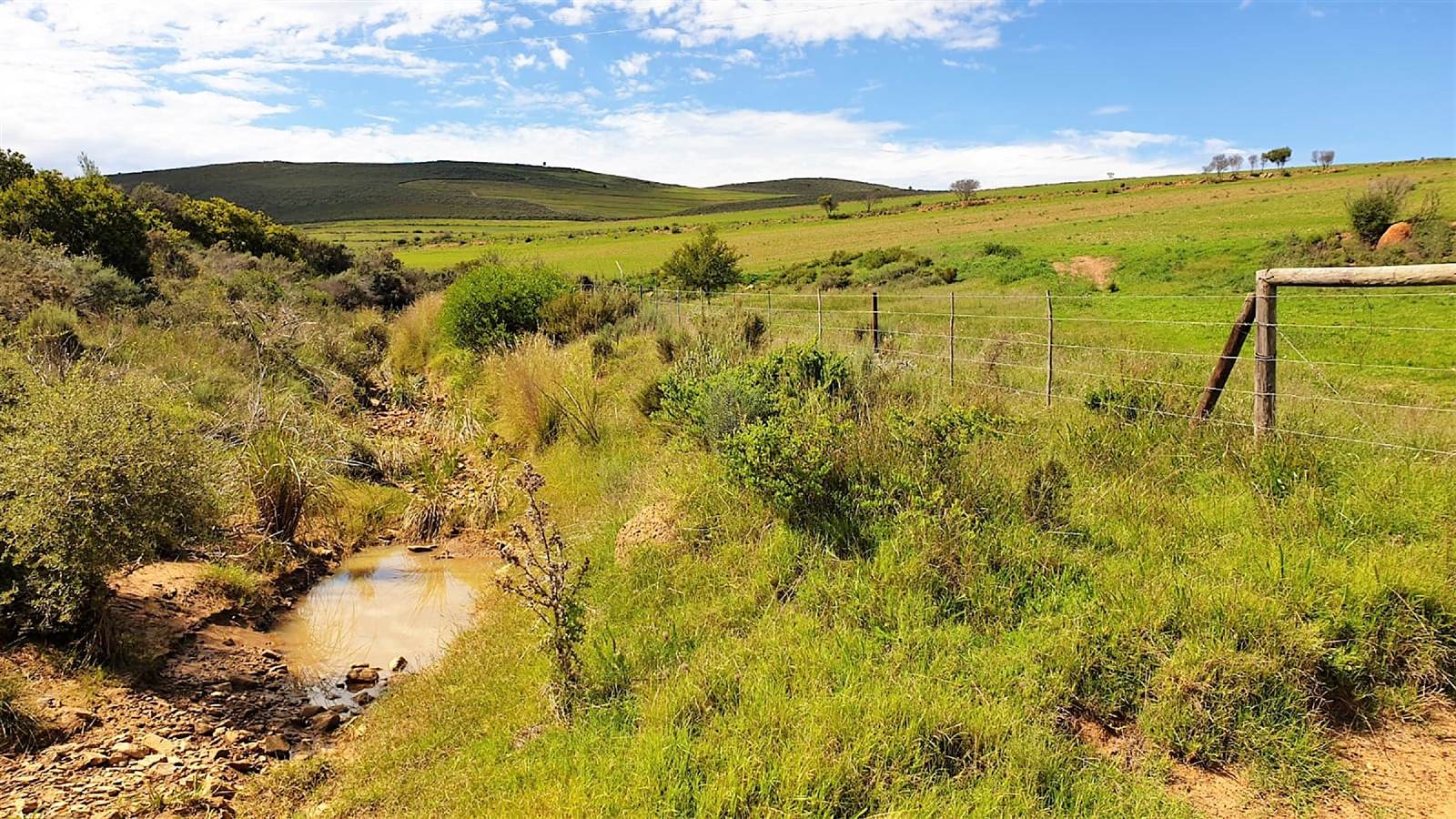 240 ha Farm in Caledon photo number 12