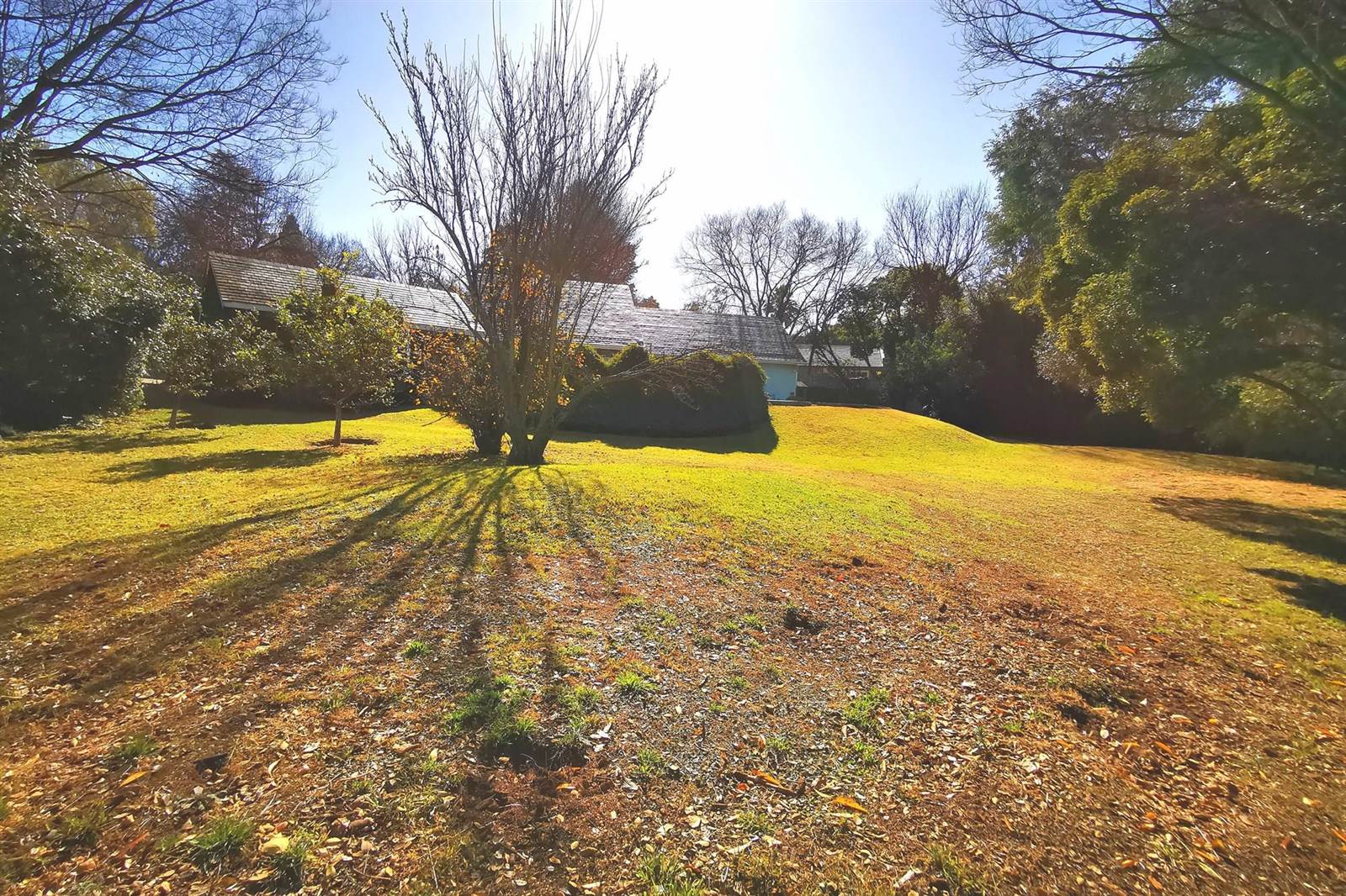 4050 m² Land available in Bryanston photo number 2