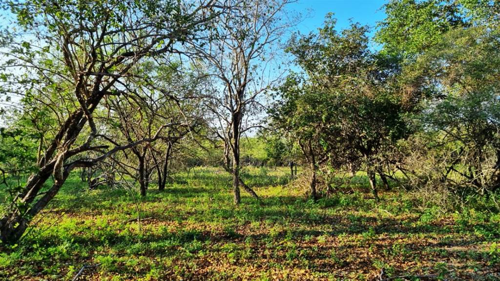 2067 m² Land available in Marloth Park photo number 9