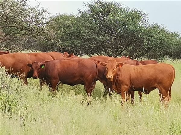 970.8 ha Farm 970.8 ha Farm
