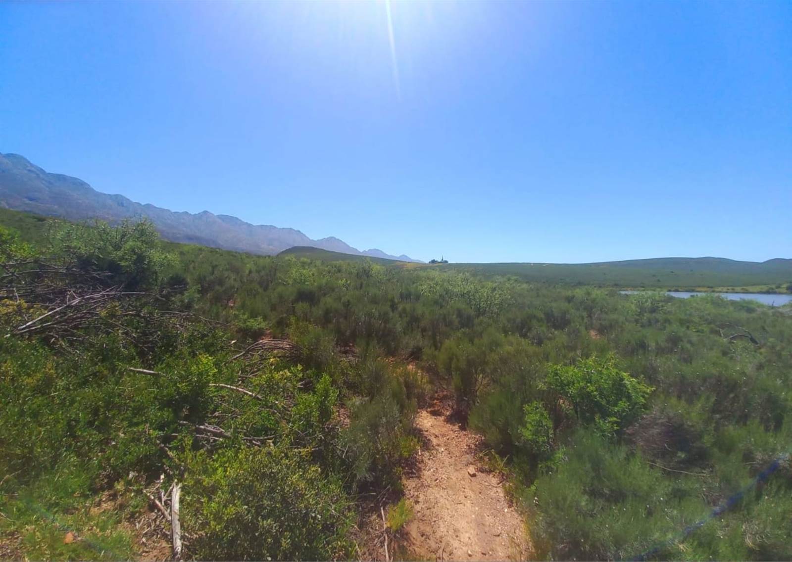 125 ha Land available in Oudtshoorn photo number 9