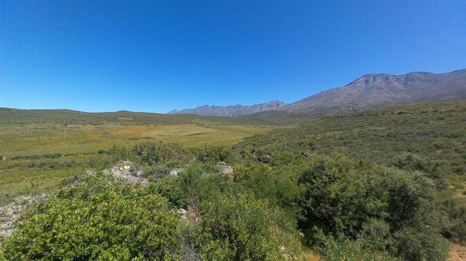 125 ha Land available in Oudtshoorn photo number 3
