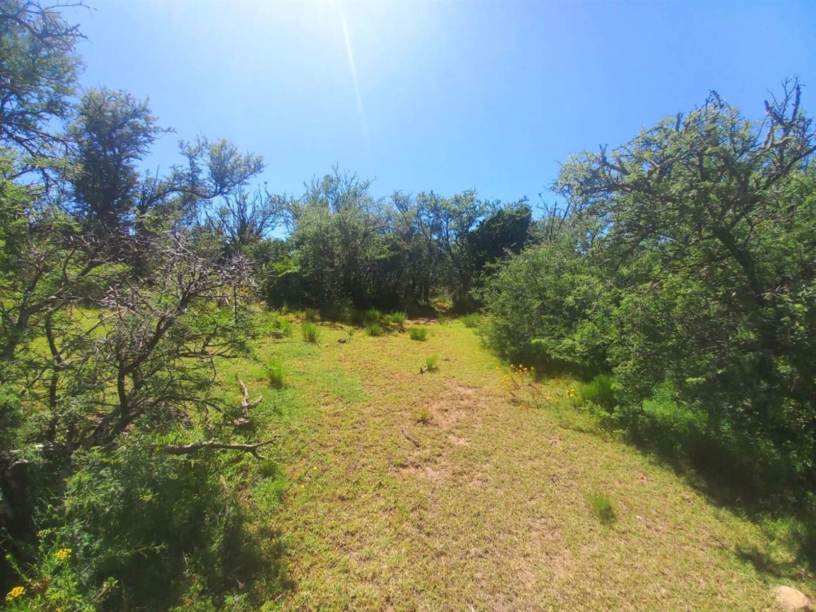 125 ha Land available in Oudtshoorn photo number 7