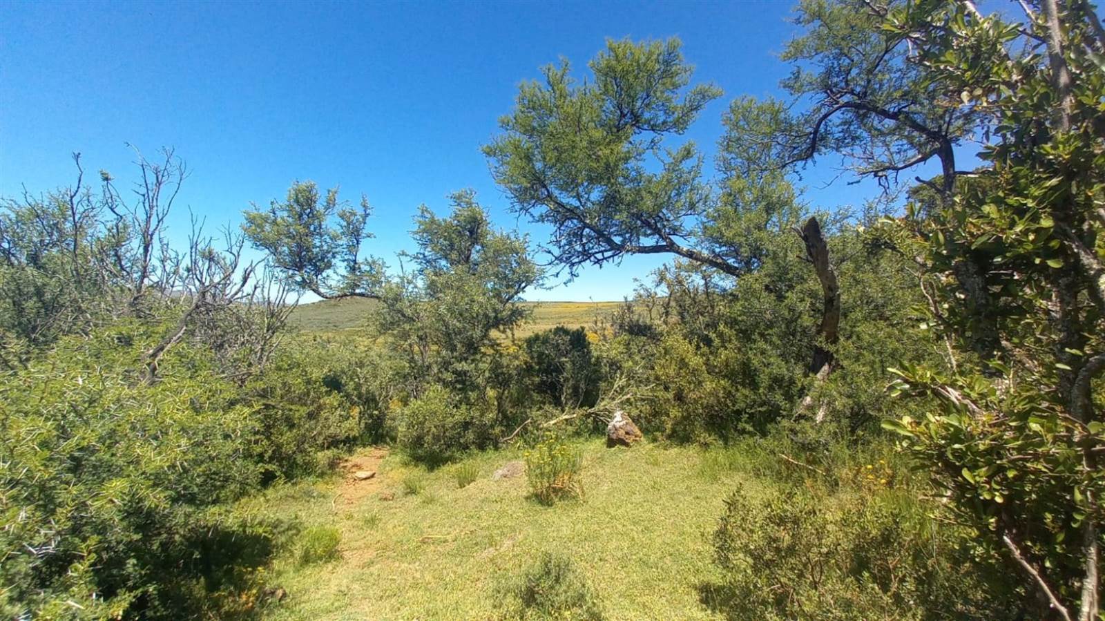 125 ha Land available in Oudtshoorn photo number 11