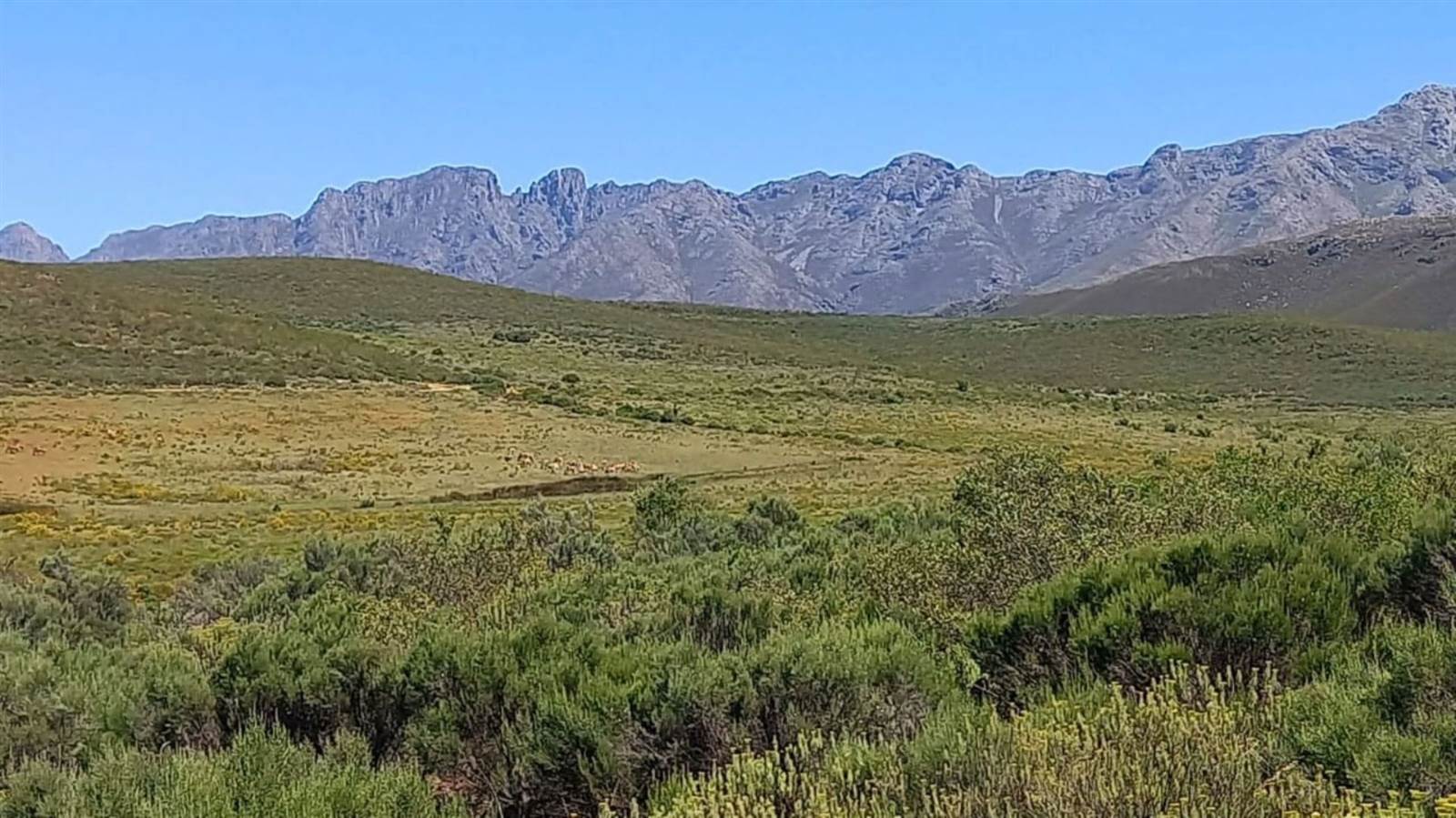 125 ha Land available in Oudtshoorn photo number 12