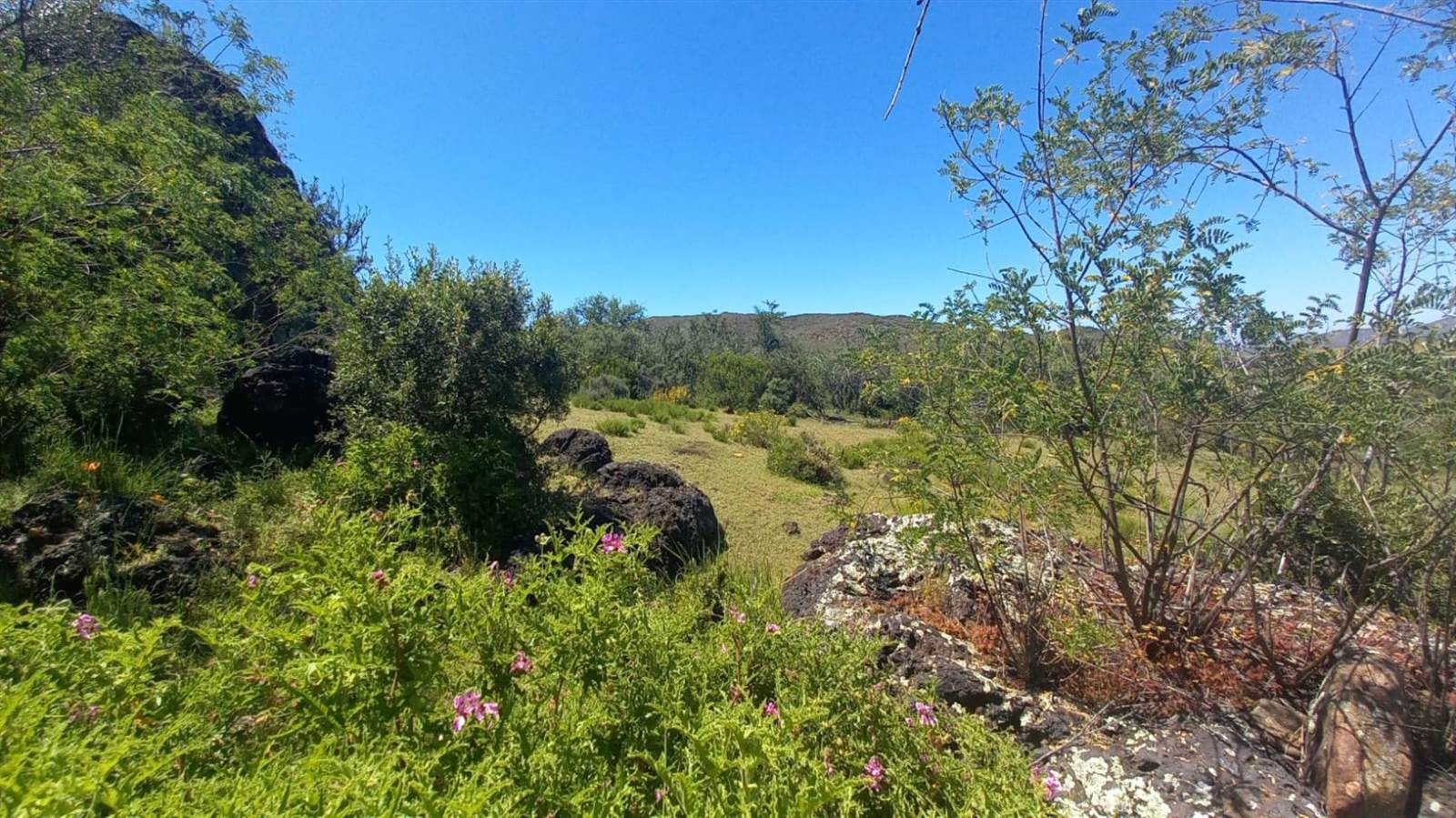125 ha Land available in Oudtshoorn photo number 10