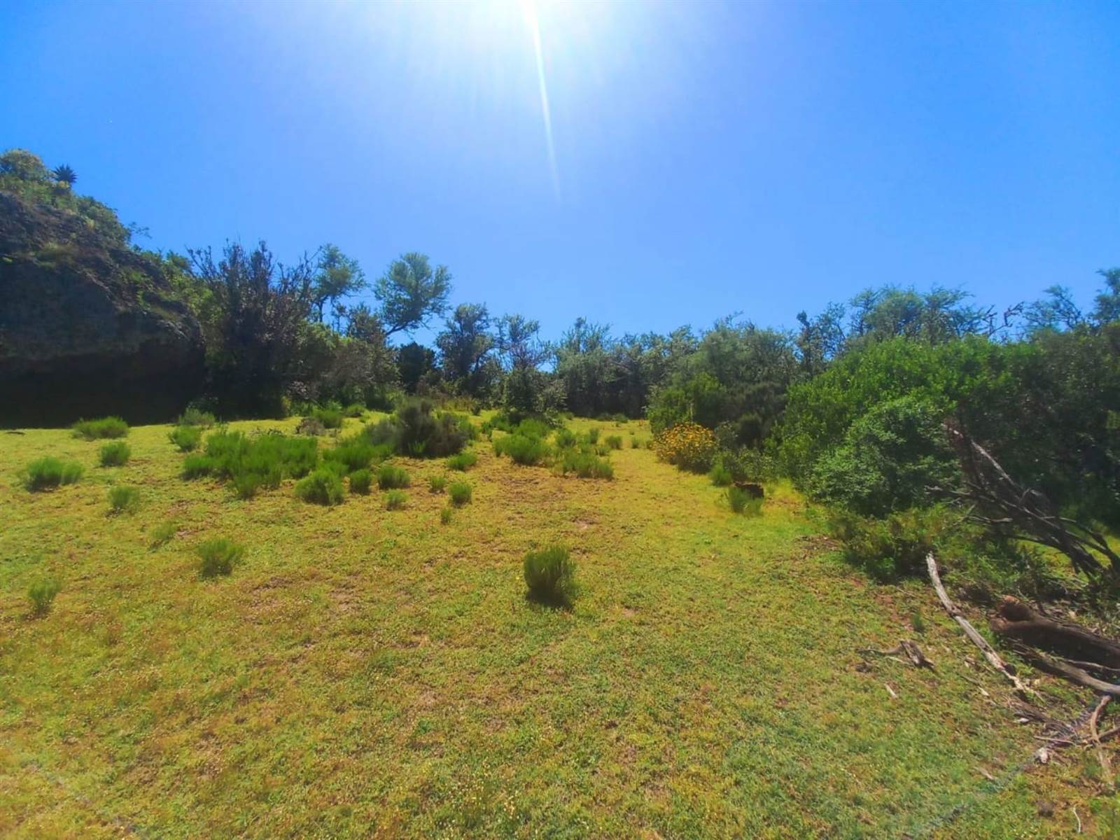 125 ha Land available in Oudtshoorn photo number 2