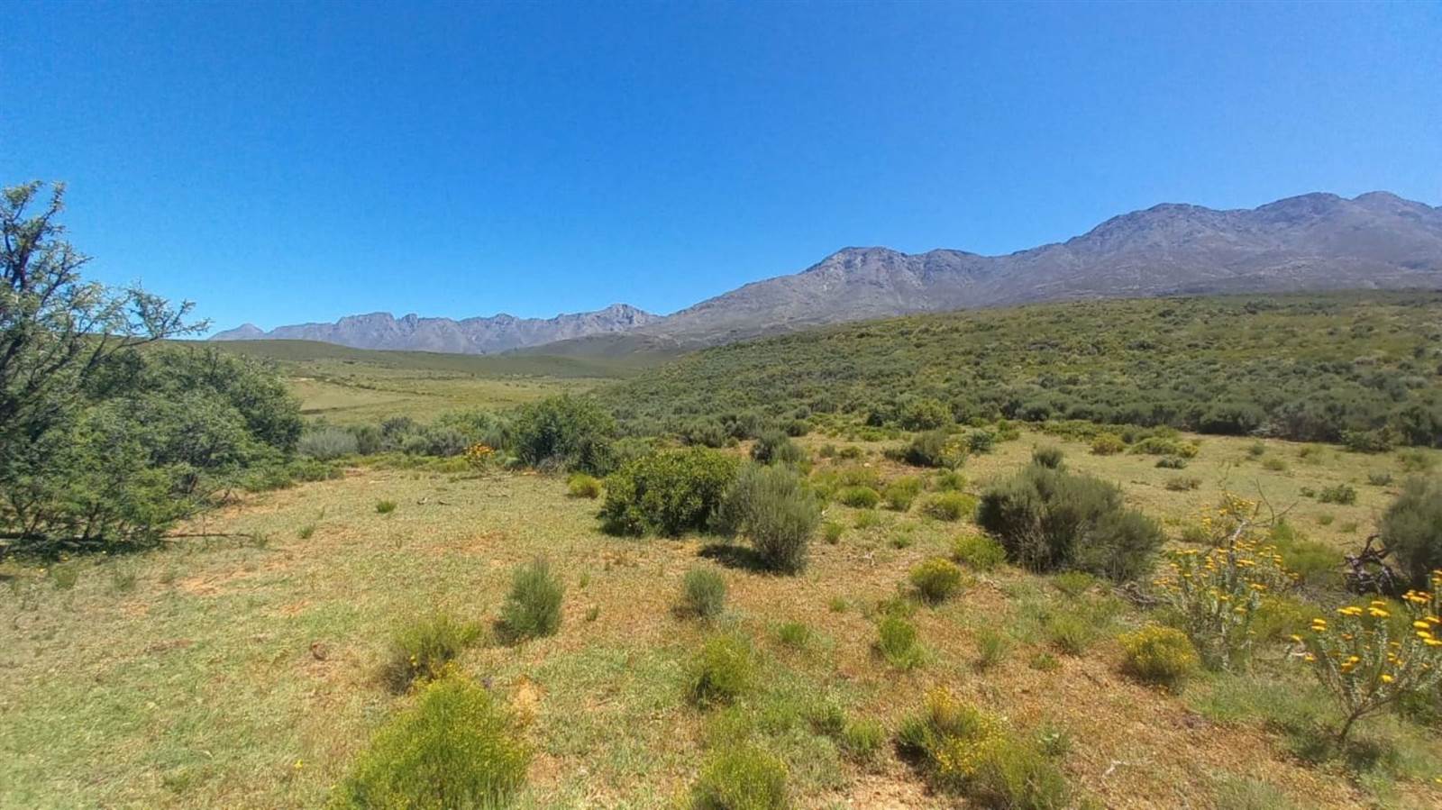 125 ha Land available in Oudtshoorn photo number 15