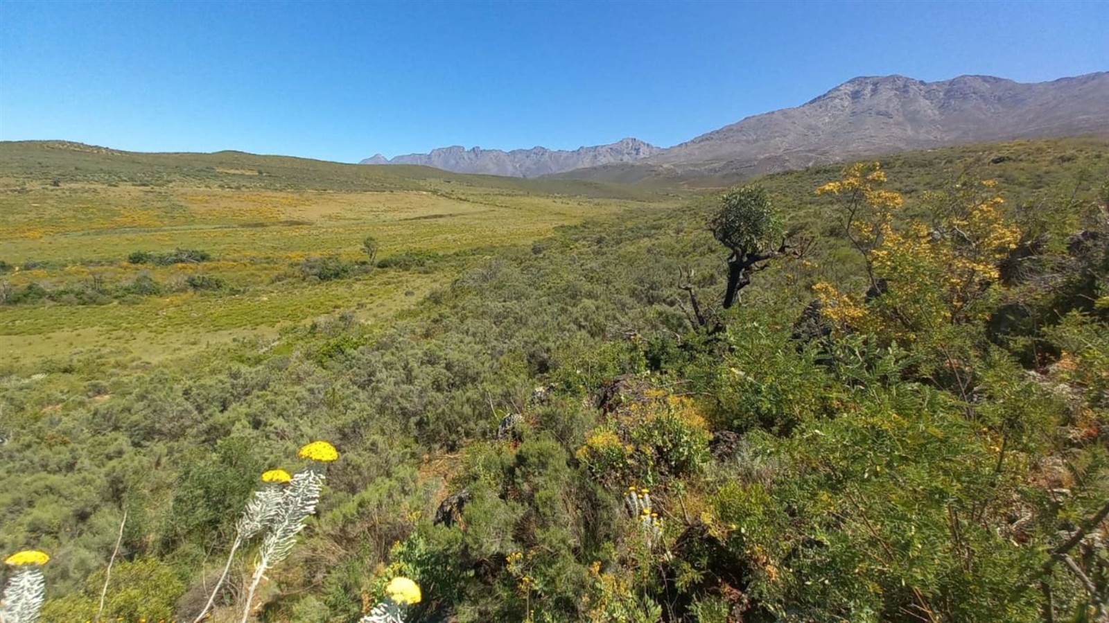 125 ha Land available in Oudtshoorn photo number 13