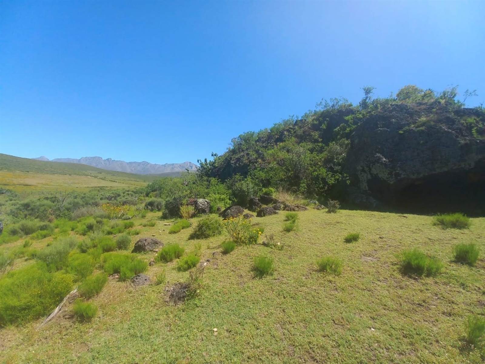 125 ha Land available in Oudtshoorn photo number 6