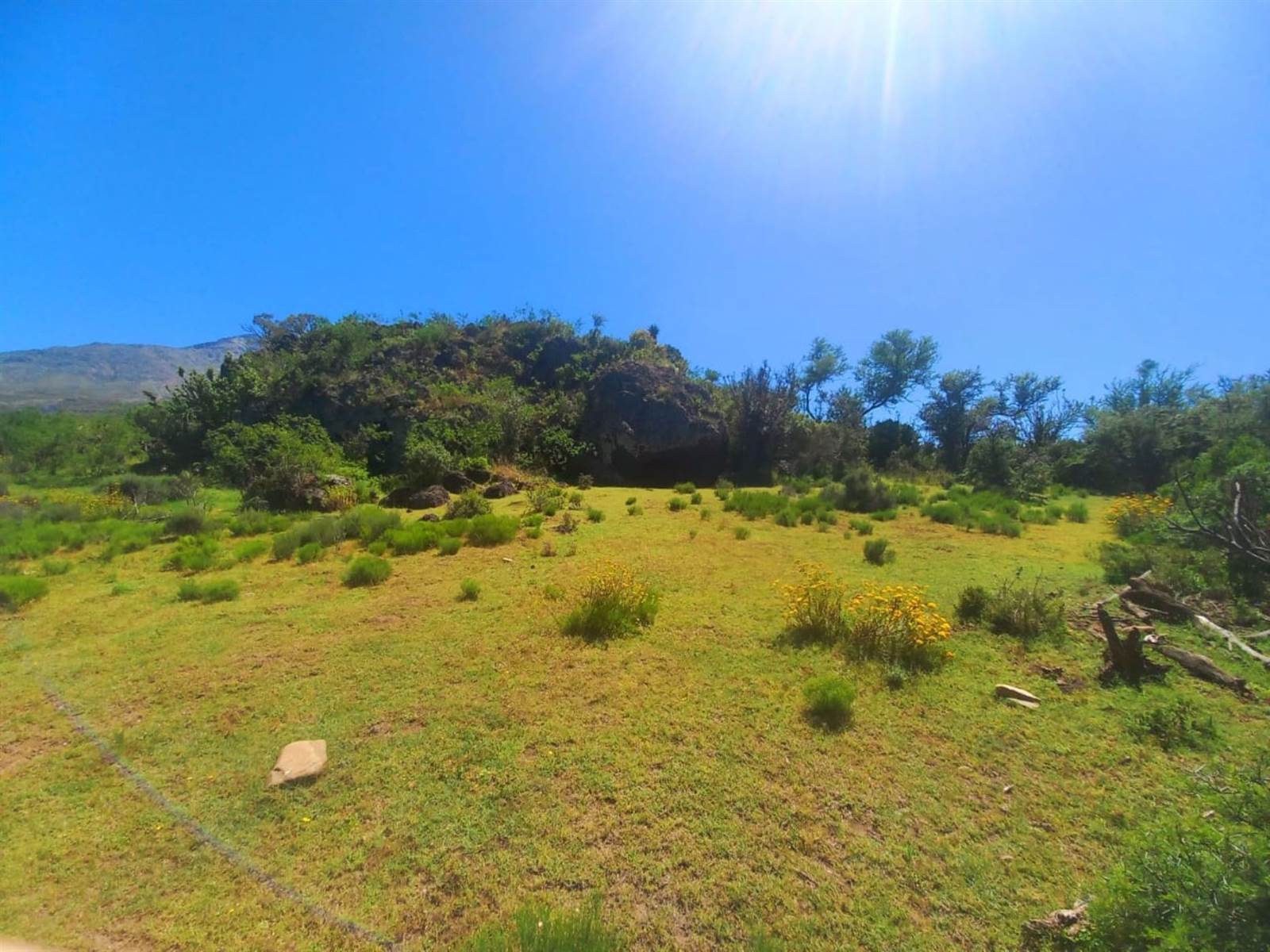 125 ha Land available in Oudtshoorn photo number 5