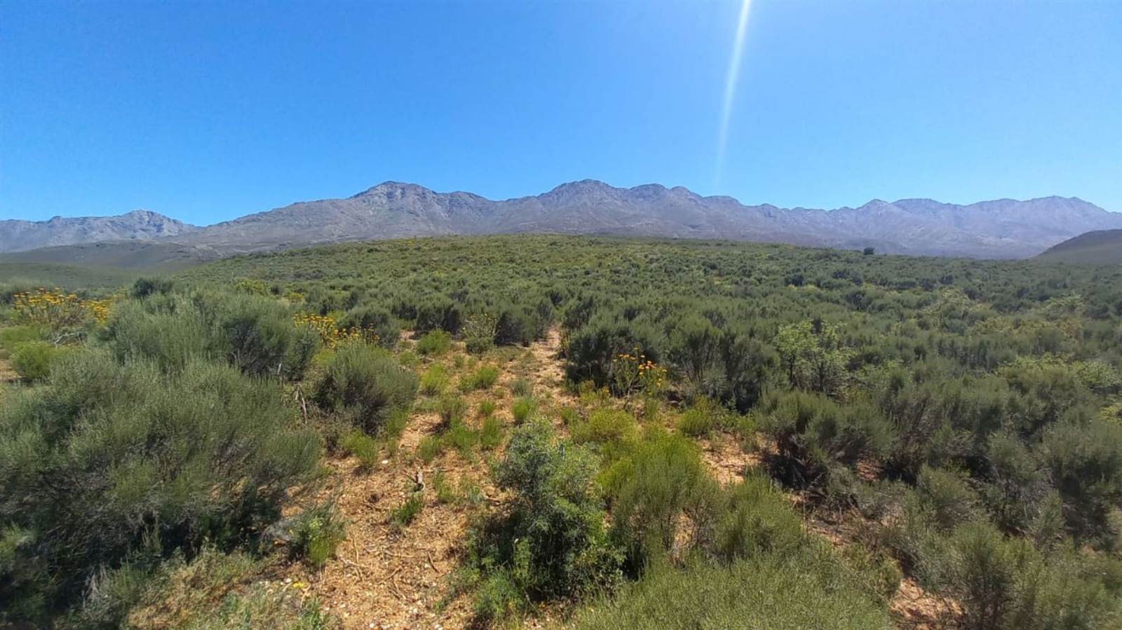 125 ha Land available in Oudtshoorn photo number 4