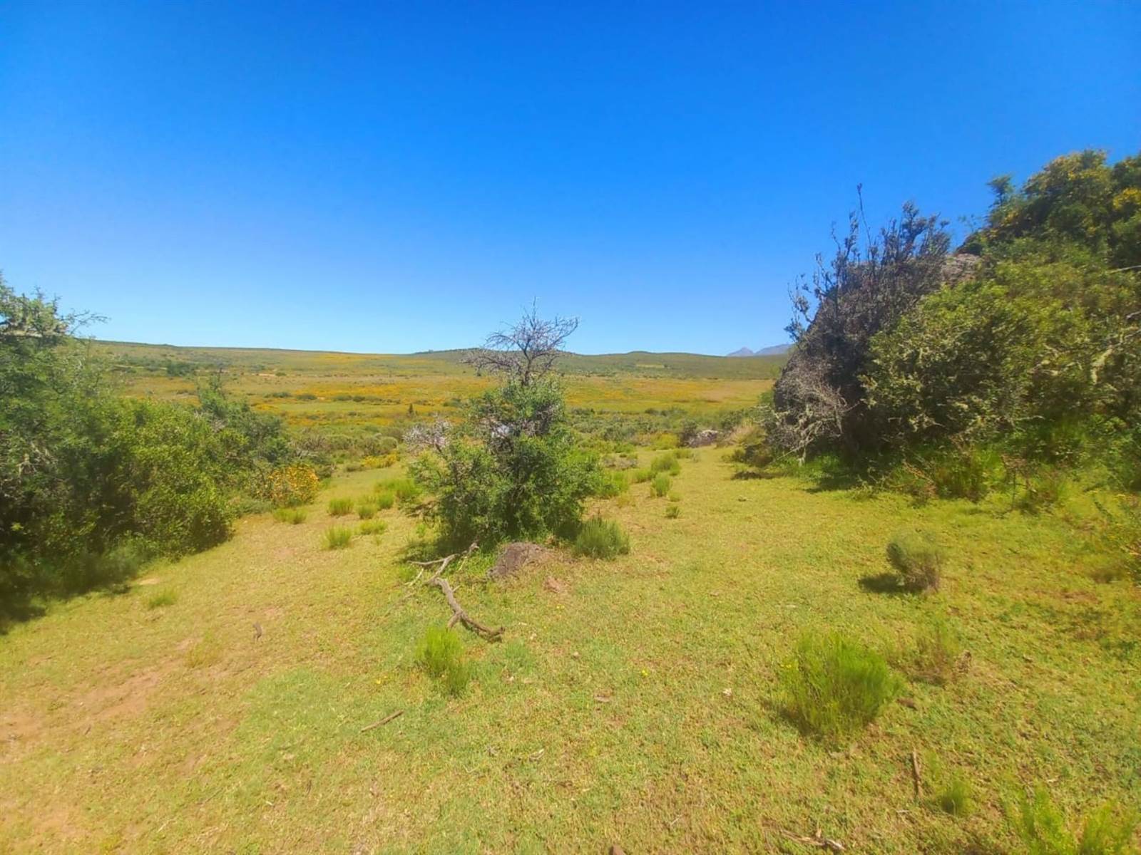 125 ha Land available in Oudtshoorn photo number 8