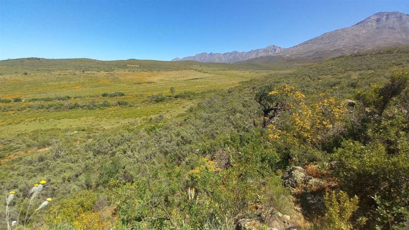 125 ha Land available in Oudtshoorn photo number 14