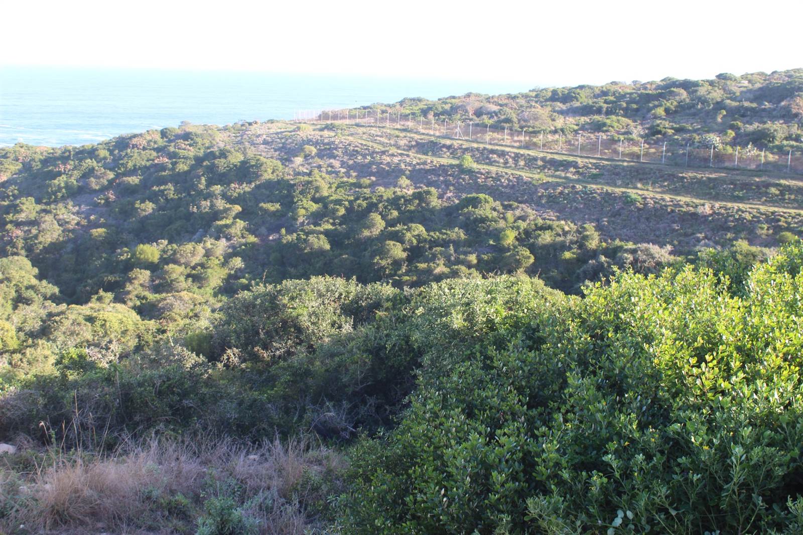 800 m² Land available in Pinnacle Point Golf Estate photo number 6