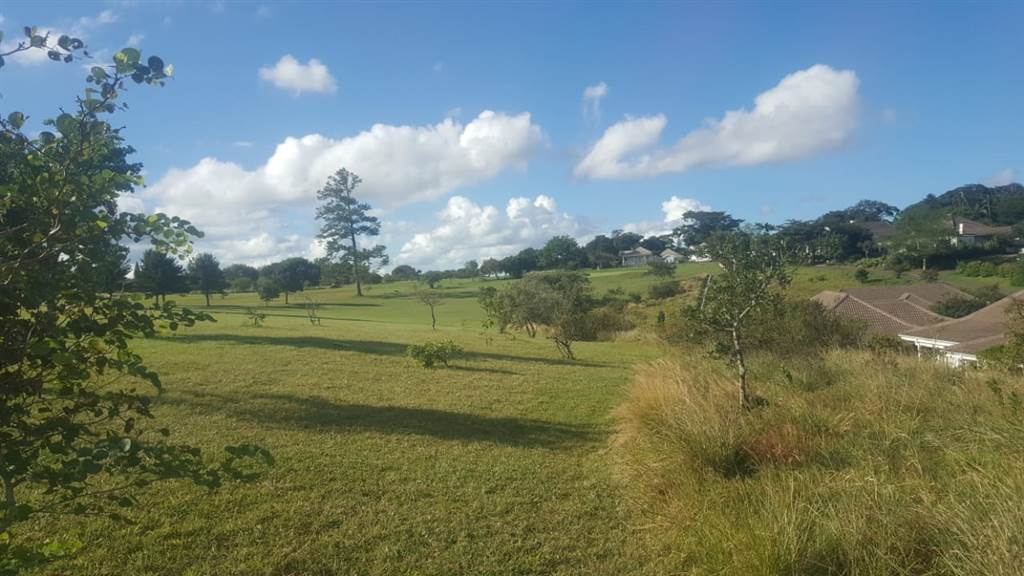 1004 m² Land available in Eshowe photo number 2