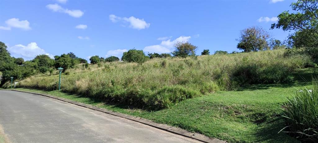 1004 m² Land available in Eshowe photo number 4