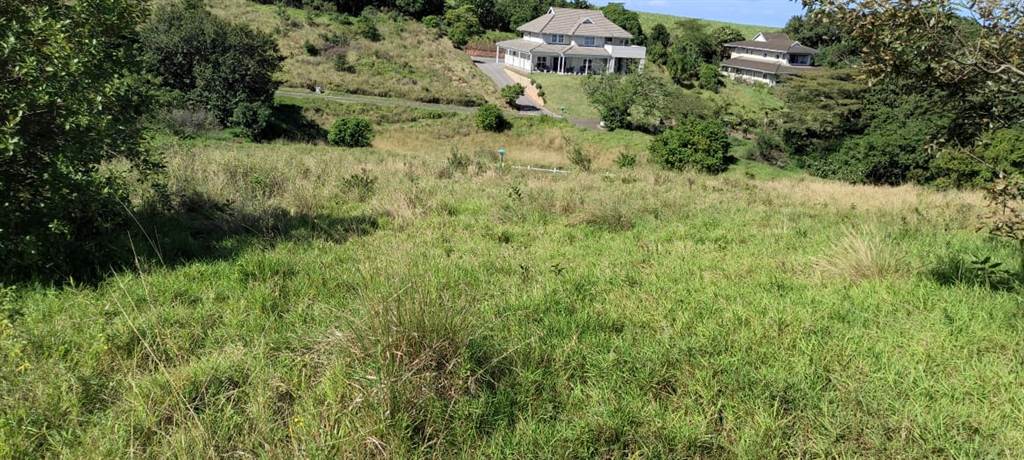 1004 m² Land available in Eshowe photo number 6