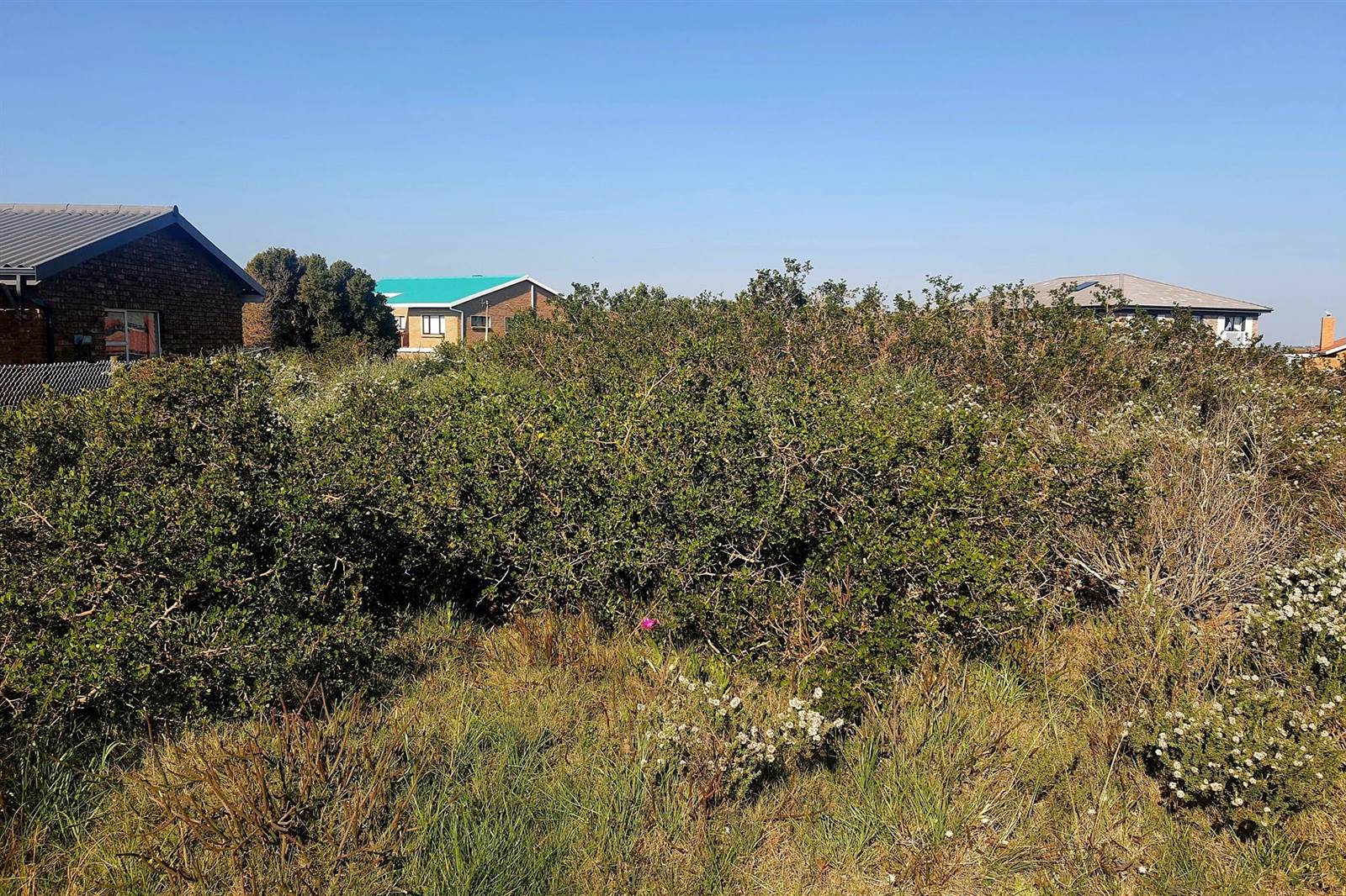 733 m² Land available in Boggomsbaai photo number 6