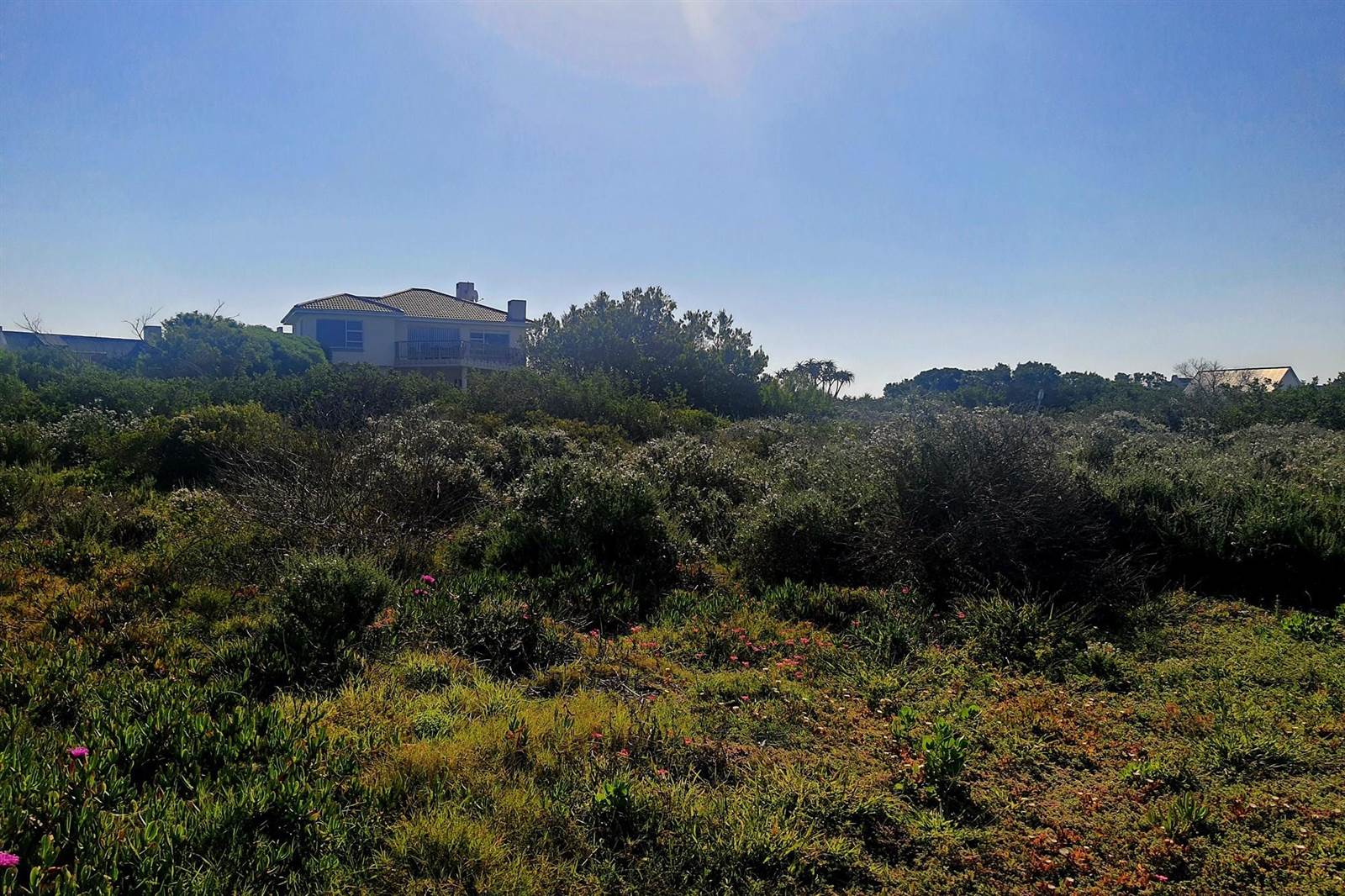 733 m² Land available in Boggomsbaai photo number 12
