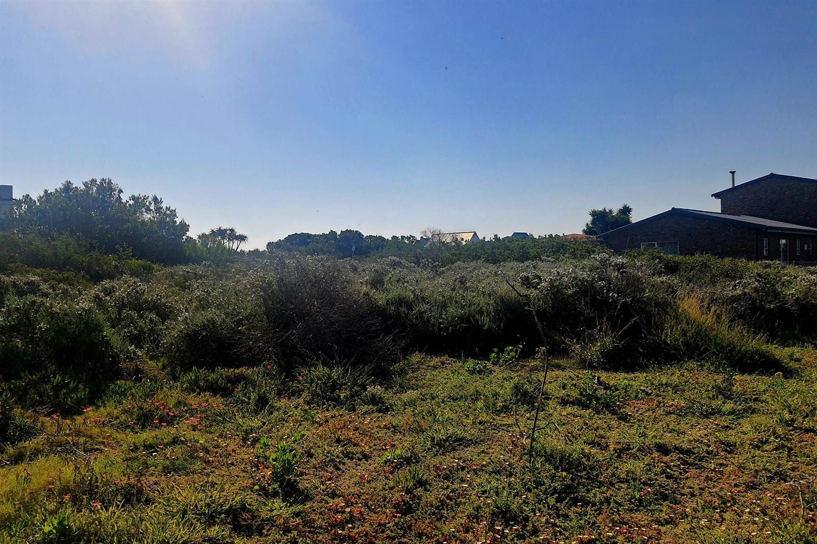 733 m² Land available in Boggomsbaai photo number 13