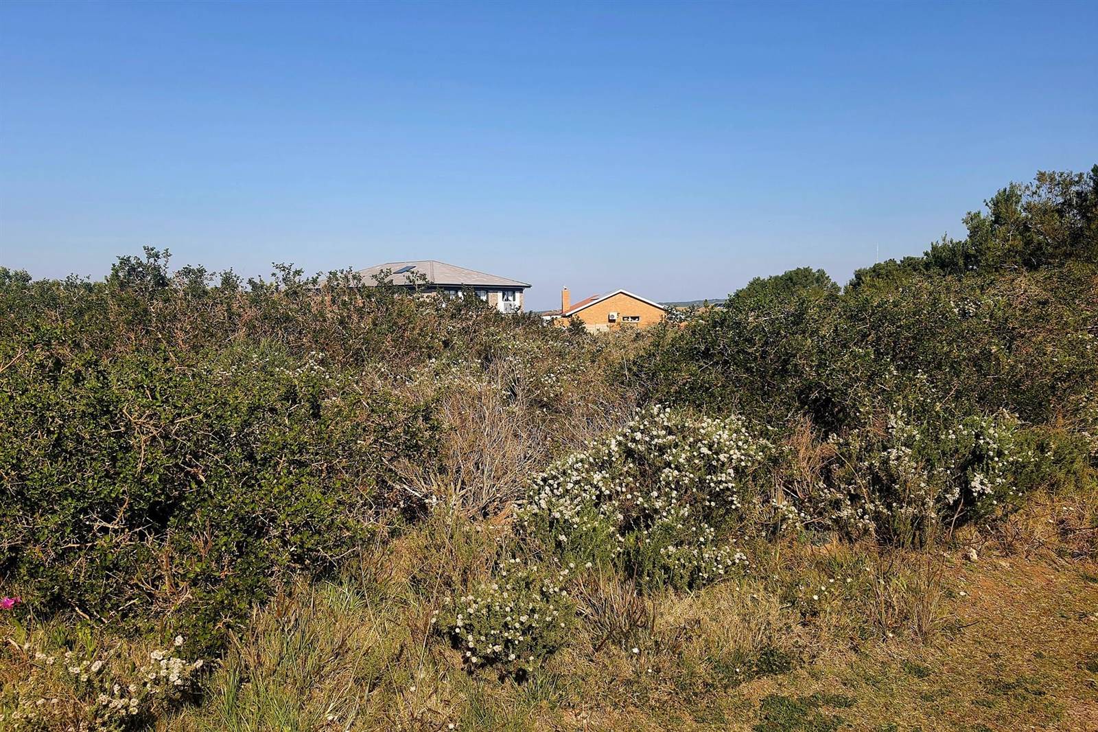 733 m² Land available in Boggomsbaai photo number 7