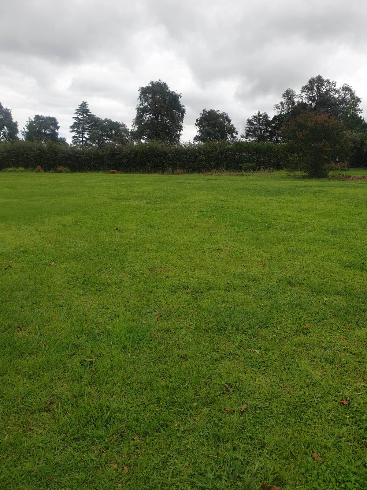 2000 m² Land available in Underberg photo number 5