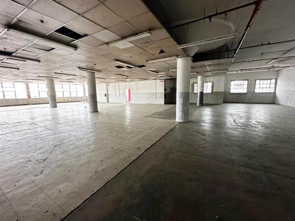 369  m² Office Space in Greyville photo number 12