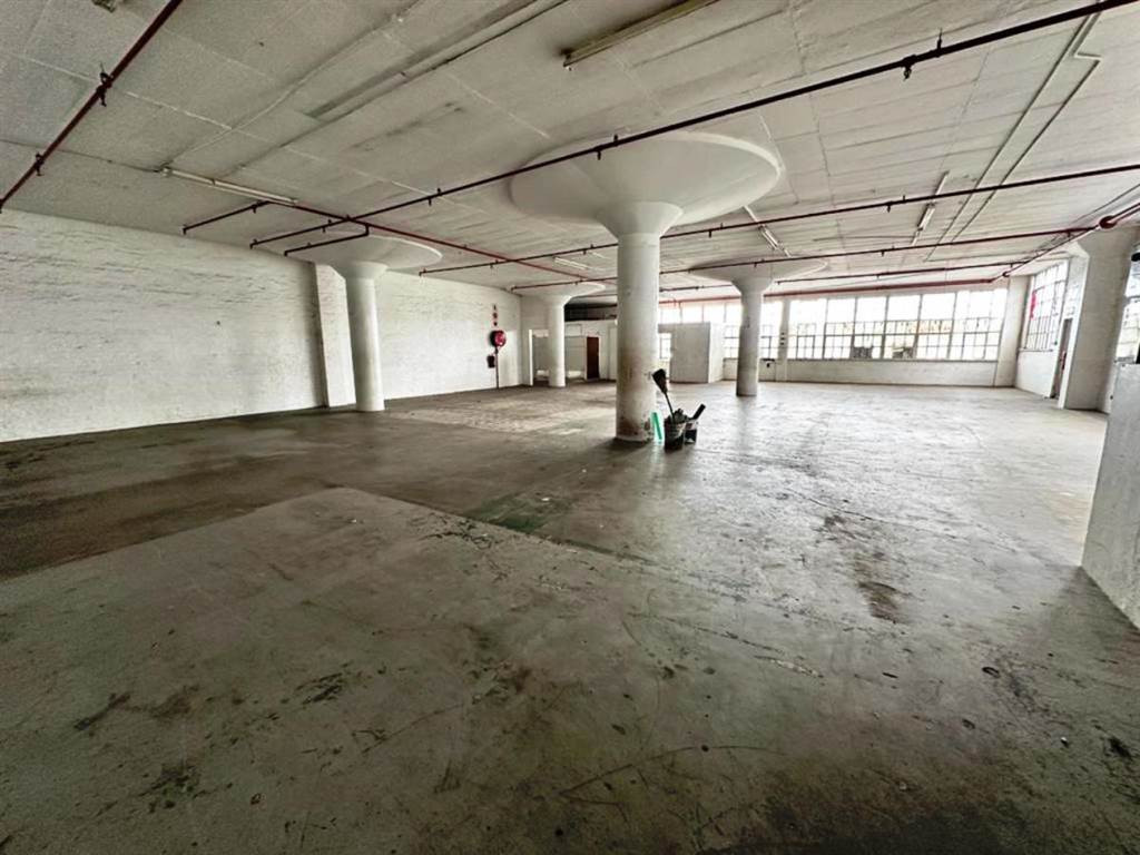 369  m² Office Space in Greyville photo number 10
