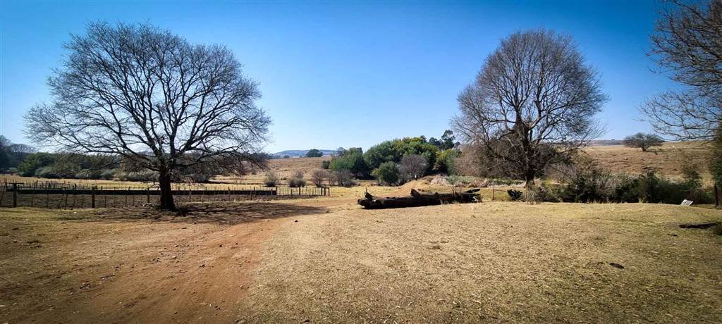 216 ha Farm in Sterkfontein and surrounds photo number 13