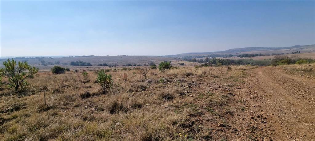 216 ha Farm in Sterkfontein and surrounds photo number 26
