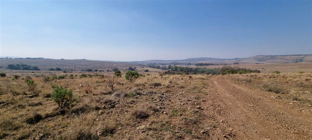 216 ha Farm in Sterkfontein and surrounds photo number 6