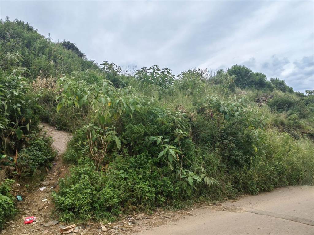 1900 m² Land available in Imbali photo number 4