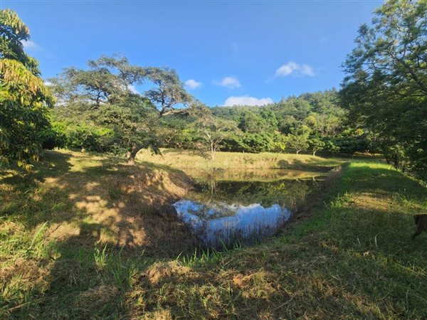 2 ha Land available in Tzaneen