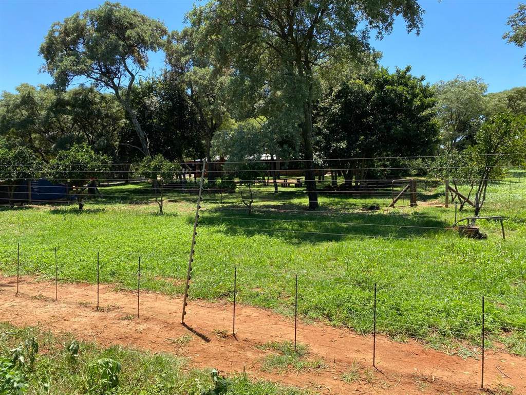 3.8 ha Farm in Koster photo number 5